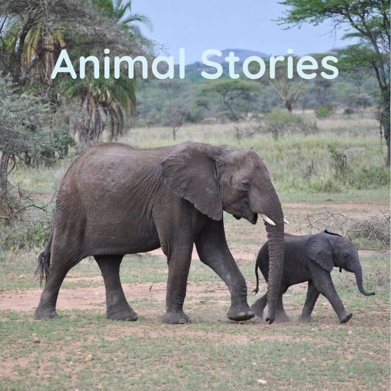 Books by Theme - Animal Stories