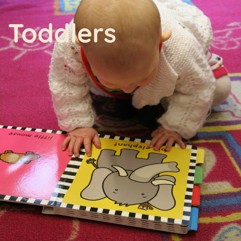 Book of the Month - Toddlers